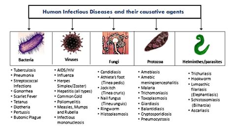 An infectious full.
